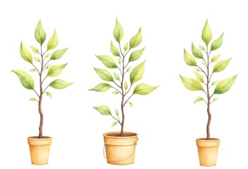 Fototapeta premium Lemon tree in pot with green leaves. Ripe lemons isolated. Vector illustration on a white background. Flat style.