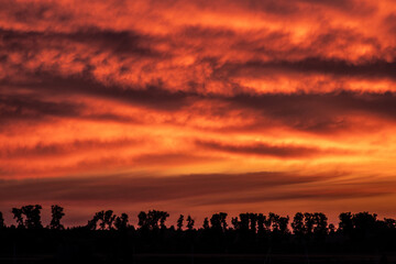 Naklejka premium Sunset with bright fantastic clouds over the silhouette of trees.