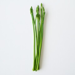 Fototapeta premium Asparagus