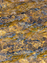 Water flood texture in the stream