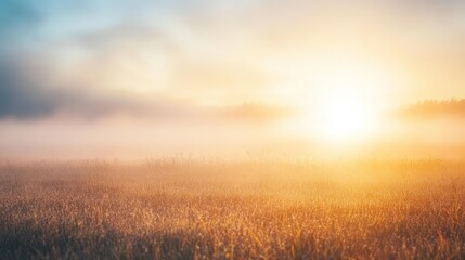 Misty field at sunset - Showcasing a field enveloped in mist as the sun sets, creating a mystical and ethereal atmosphere, ideal for moody and atmospheric photography or artistic projects.