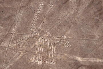 Giant geoglyph of a dog in the Nazca desert. The Nazca Lines. Peru. South America