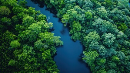 photograph of Aerial photography of a summer landscape with a quiet river surrounded by lush green trees, telephoto lens summer daylight cool color