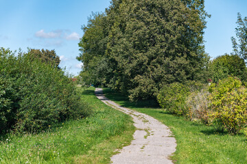 Path winding through a beautifully landscaped park. The path is framed by lush greenery on either side, creating a sense of privacy and tranquility.