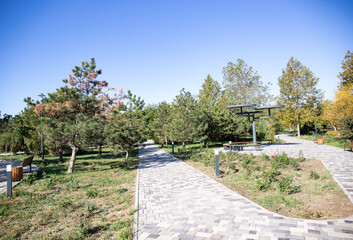 stone tile path in the walnut grove of Anapa in summer