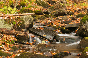 Brook tumbling over moss covered rocks in northeastern Vermont shortly after peak fall foliage