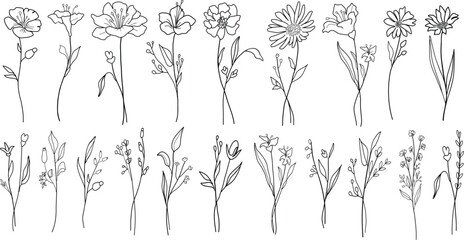 Elegant flowers and  leaves vector set. Hand drawn flower art illustration. Trendy floral wildflowers botanical set.
