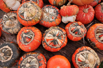 Unusual decorative orange pumpkins for halloween 