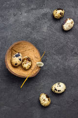 Quail eggs on table. Two eggs in coconut shell.