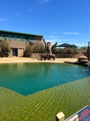 Houston Zoo