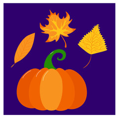 Autumn set of orange colored leaves and pumpkin in a cartoon style on a purple background. Vector halloween and thanksgiving illustration
