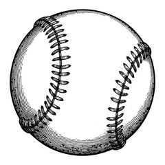 Baseball in Classic Vintage Detailed Black and White Outline Line Art Drawing Style