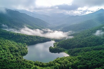 Serene lake surrounded by lush mountains and fog in a tranquil valley at dawn