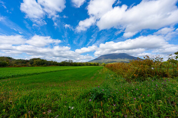 Fototapeta premium 北海道の道路の風景 羊蹄山方面