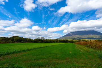 北海道の道路の風景　羊蹄山方面