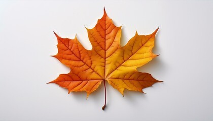 Fototapeta premium Inspiring image of the natural world, capturing the vibrant colors and intricate details of a maple leaf