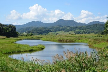 Tranquil river flowing through lush green fields under a bright blue sky in summer