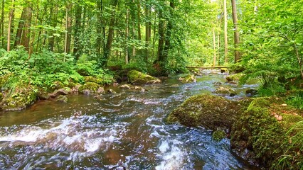 idyllischer Wildwasserbach im grünen lichtdurchflutetem märchenhaftem Wald mit moosbedeckten Felsen, Bäume, Pflanzen, Sonnenlicht, Erholung, Landschaft, wandern, Idylle
