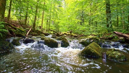 idyllischer Wildwasserbach im grünen lichtdurchflutetem märchenhaftem Wald mit moosbedeckten Felsen, Bäume, Pflanzen, Sonnenlicht, Erholung, Landschaft, wandern, Idylle
