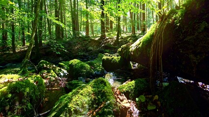 idyllischer Wildwasserbach im grünen lichtdurchflutetem märchenhaftem Wald mit moosbedeckten...