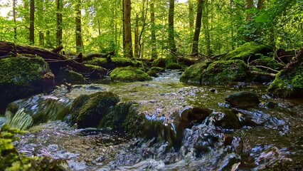 idyllischer Wildwasserbach im grünen lichtdurchflutetem märchenhaftem Wald mit moosbedeckten Felsen, Bäume, Pflanzen, Sonnenlicht, Erholung, Landschaft, wandern, Idylle
