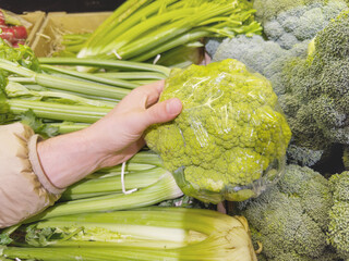 Obraz premium buying cabbage at the market