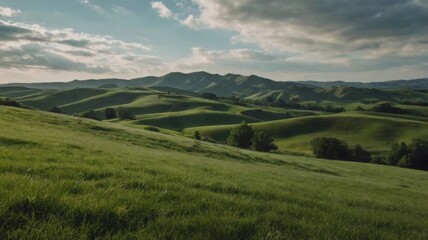 Fototapeta premium beautiful landscapes of green hill