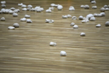 運動会　玉入れ