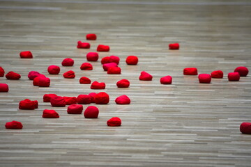 運動会　玉入れ