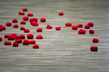 運動会　玉入れ