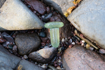 Sea Glass Bottle Topper