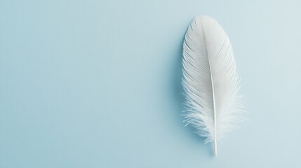 Naklejka premium feather on a plain light blue background, soft focus, , minimalist design, perfect for calming visuals and nature-related content.