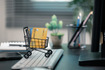 Woman used technology to buy groceries online, making a purchase from an e-business in cyberspace...