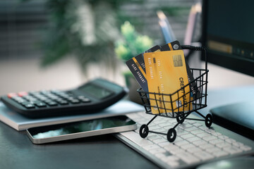 Woman used technology to buy groceries online, making a purchase from an e-business in cyberspace...