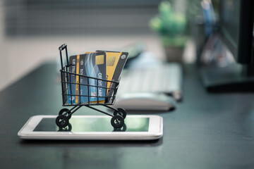 Woman used technology to buy groceries online, making a purchase from an e-business in cyberspace...
