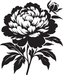Peony flower silhouette black vector