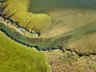 Aerial landscape detail of a brook estuary in the Allgaeu Alps with lake Alpsee next to Immenstadt,...