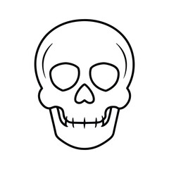 skull design