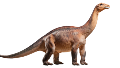 Brachiosaurus on transparent background