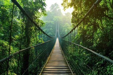A serene suspension bridge stretches through a lush green forest, inviting exploration and adventure in nature.