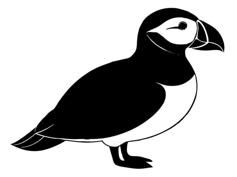 recommend clip art: puffin bird vector silhouette black animal 