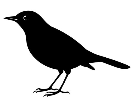 recommend clip art: thrush bird silhouette on a white background