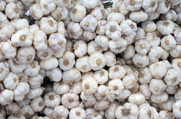 garlic on market