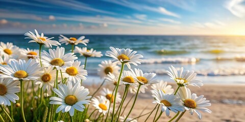 Minimalist white daisies on seashore summer landscape © suchetpong