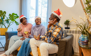 Family celebrating christmas together at home drinking wine