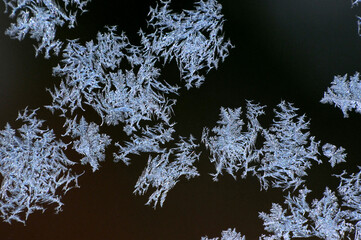 Beautiful nature shot, natural wallpaper, "tribal" ice formations on a glass plate created by the harsh winter cold