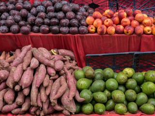 Fruit on table in morning market