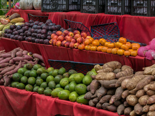 Fruit on table in morning market