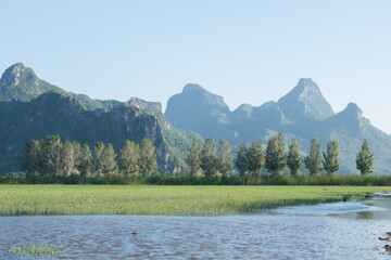 A landscape view of nature of green mountain at sunrise morning