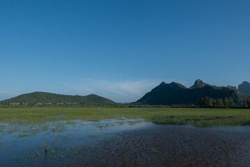A landscape view of nature of green mountain at sunrise morning